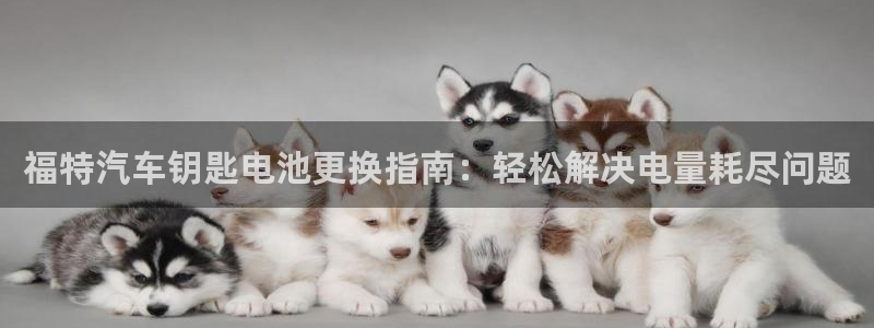 优发国际手机app下载安装最新版