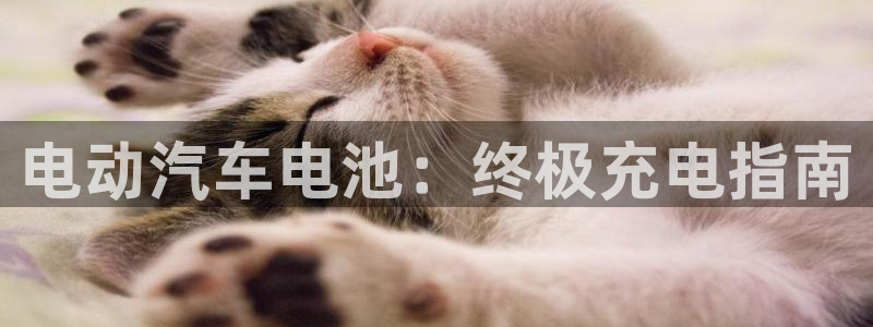 优发国际官网qy88
