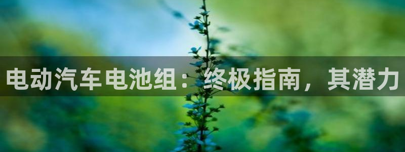 优发国际登录首页怎么设置