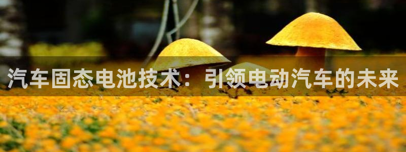 优发国际首页app