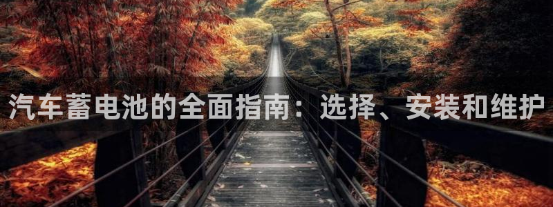 优发国际官方网
