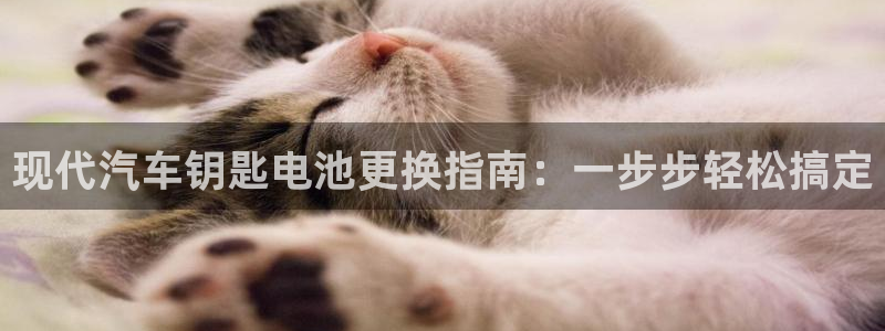 优发国际平台g80