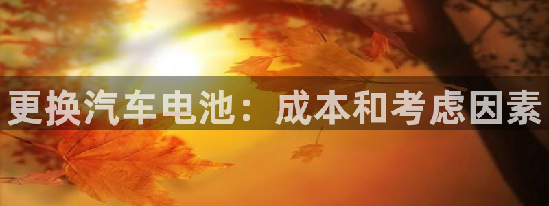 优发国际平台18岁能做吗
