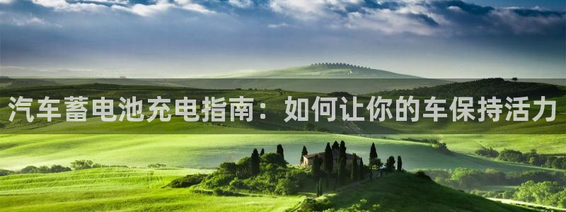 优发国际平台g8