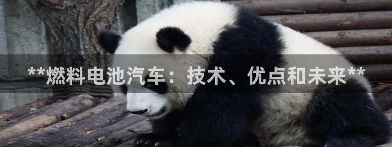 优发国际亚洲平台