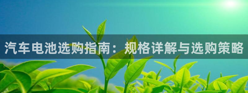 优发国际游戏17