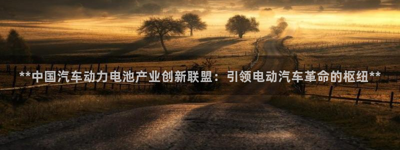 优发国际youfa966