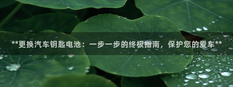 优发国际手机版客户端官网