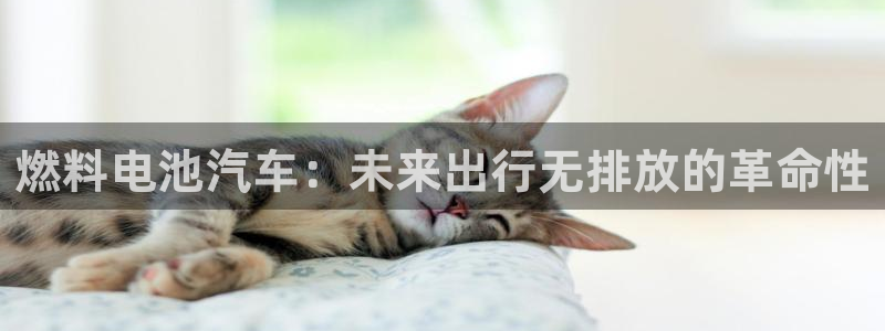 优发国际游戏官方网站入口