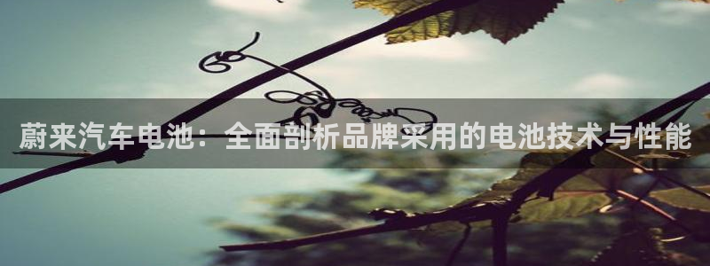 优发国际随优而动一触即发