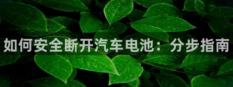 优发国际官方网手机版