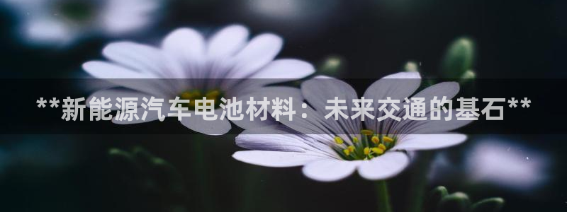 优发国际集团股份有限公司官网