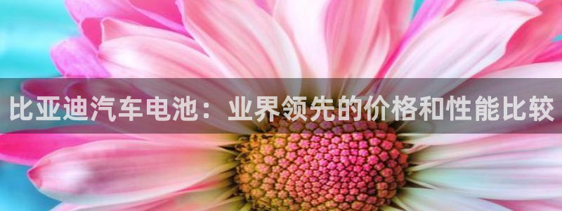 优发国际安卓版下载安装