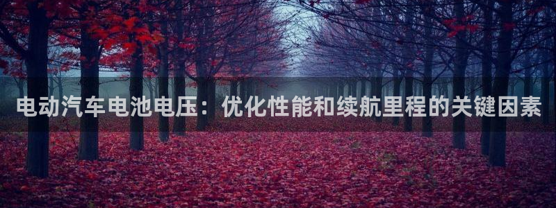 优发国际是大平台吗还是小平