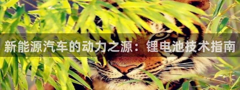 u优发国际首页：新能源汽车的动力之源：锂电池技术指南