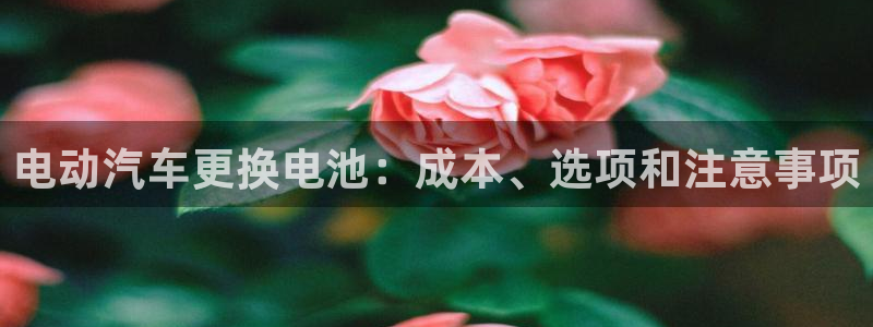 优发国际游戏17