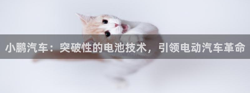 优发国际游戏17岁能玩吗