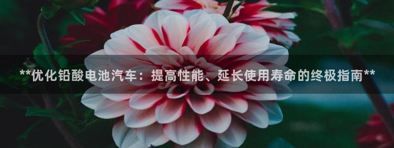 优发国际官网手机版下载安卓