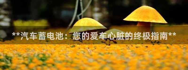 优发国际官网首页入口
