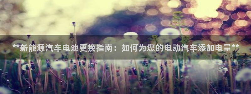 优发国际平台g80