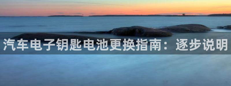 优发国际是大平台吗还是小平
