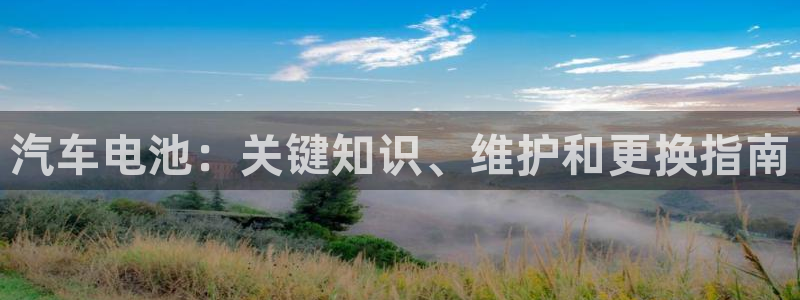 优发国际集团股份有限公司