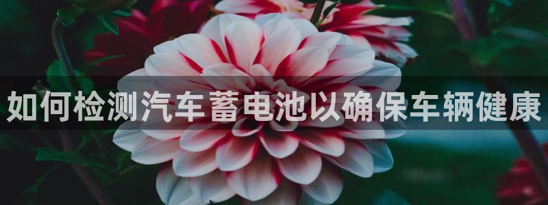 优发国际随优而动一触即发