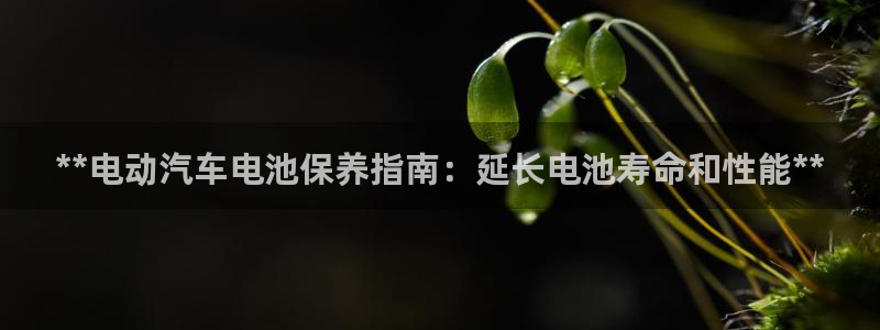 优发国际手机版下载官网