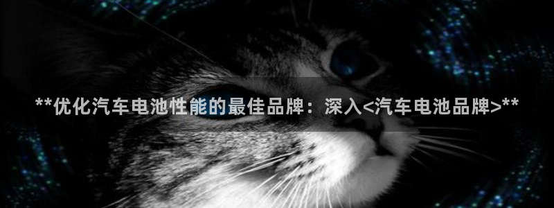 优发国际手机版客户端下载安装