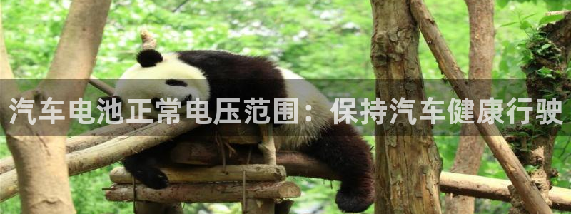 优发国际是什么