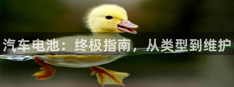 优发国际首页app