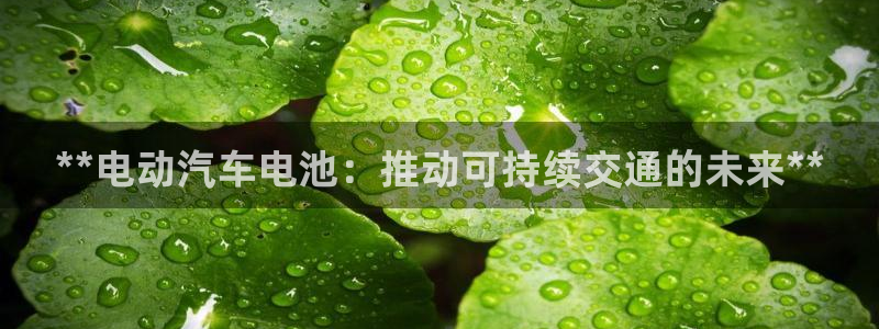 优发国际手机版唯一官网下载