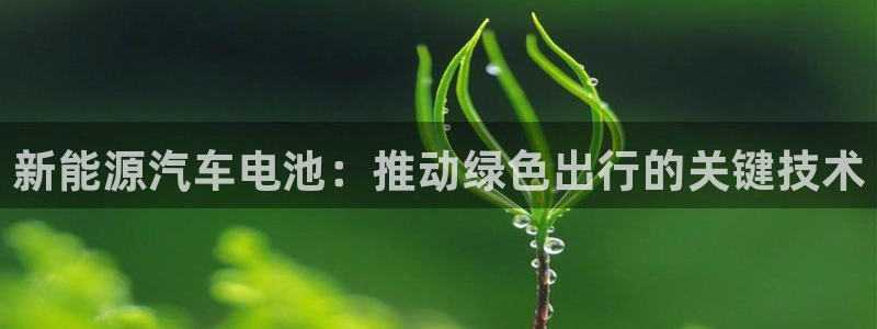 优发国际手机版网站登录