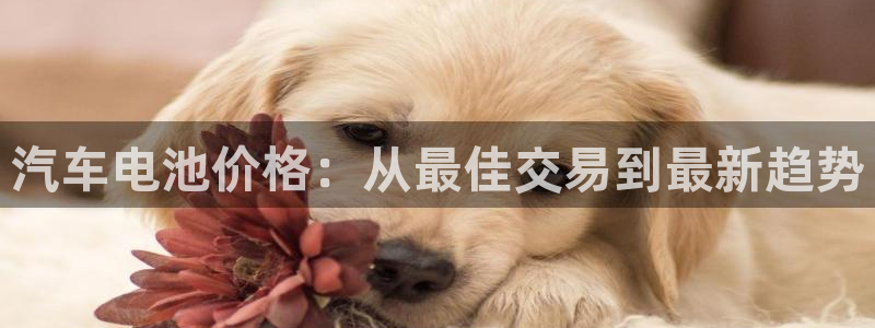 优发国际平台g80