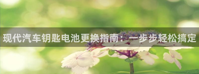 优发国际平台app下载官网：现代汽车钥匙电池更换指南：一步步轻松搞定