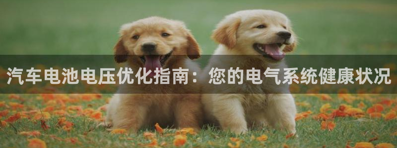 优发国际网站178