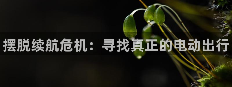 优发国际平台18岁能做吗