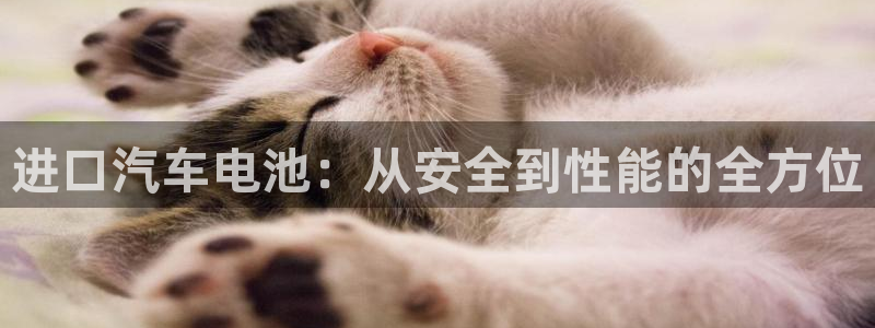 优发国际官网手机版下载苹果：进口汽车电池：从安全到性能的全方位