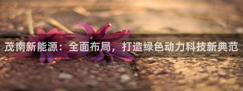优发国际在哪里下载：茂南新能源：全面布局，打造绿色动力科技新典范