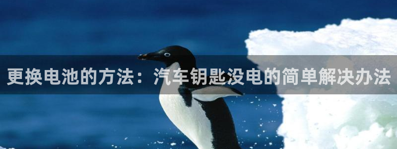 优发国际网站多少：更换电池的方法：汽车钥匙没电的简单解决办法