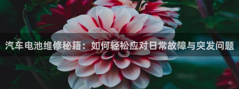 优发国际安卓版下载安装教程：汽车电池维修秘籍：如何轻松应对日常故障与突发问题