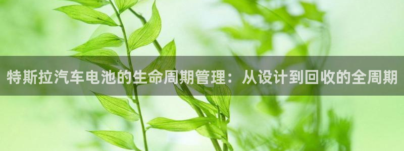 优发国际官网,首页：特斯拉汽车电池的生命周期管理：从设计到回收的全周期