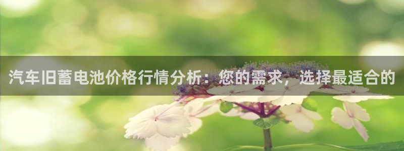 优发国际官方网手机版