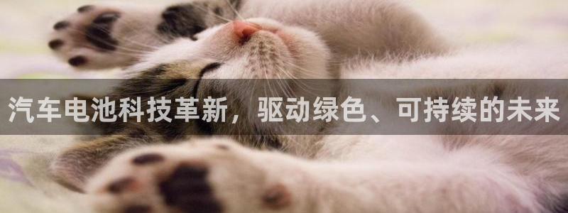 优发国际线上娱官网