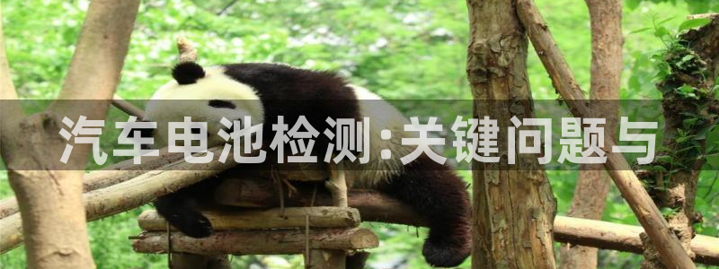 优发国际官网下载：汽车电池检测:关键问题与