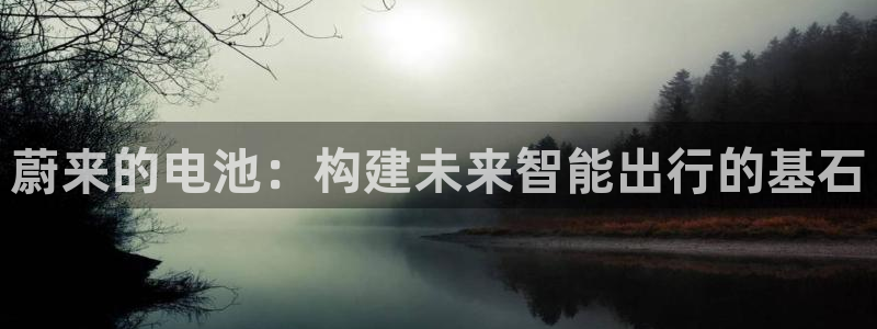 优发国际平台u8是什么：蔚来的电池：构建未来智能出行的基石