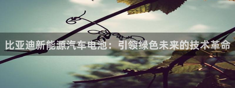优发国际游戏官网：比亚迪新能源汽车电池：引领绿色未来的技术革命