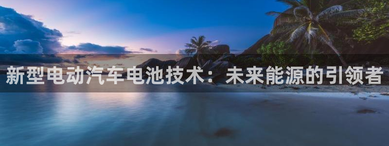 优发国际提现不了：新型电动汽车电池技术：未来能源的引领者