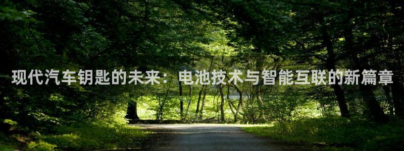 优发国际平台18岁能做吗：现代汽车钥匙的未来：电池技术与智能互联的新篇章
