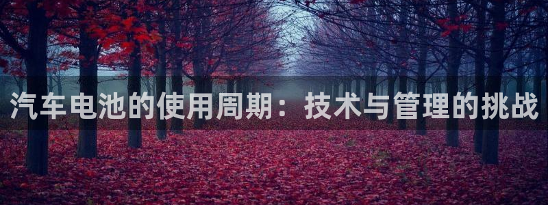 优发国际平台18岁能做吗：汽车电池的使用周期：技术与管理的挑战